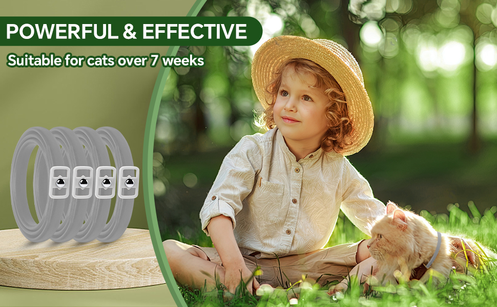 Woyamay 4 Pack Flea Collar for Cats, Luminous Cat Flea