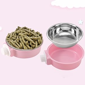 Pet Bowl
