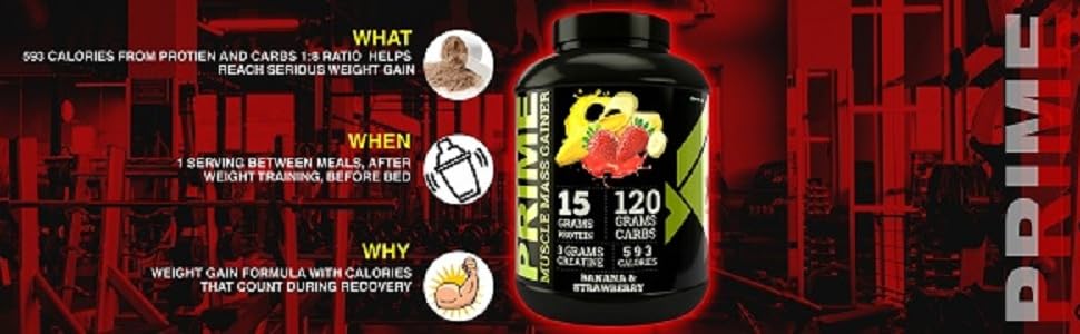 bigflex-prime-mass-gaier-beast-nutrition