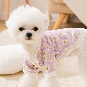 犬の服