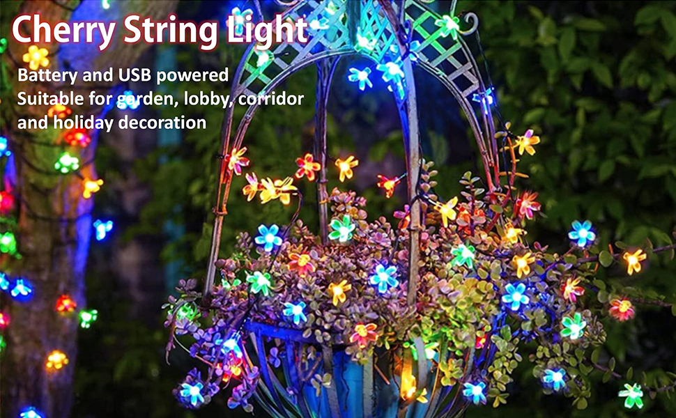 Clearhill Fairy Lights