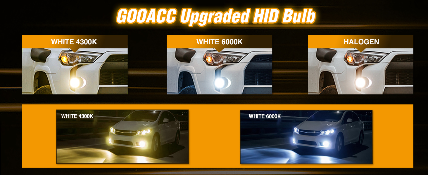 D1S HID Headlight