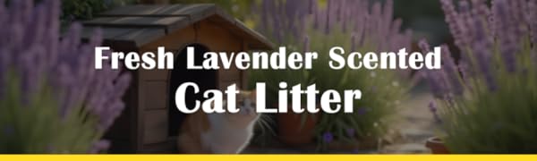 Cat Litter