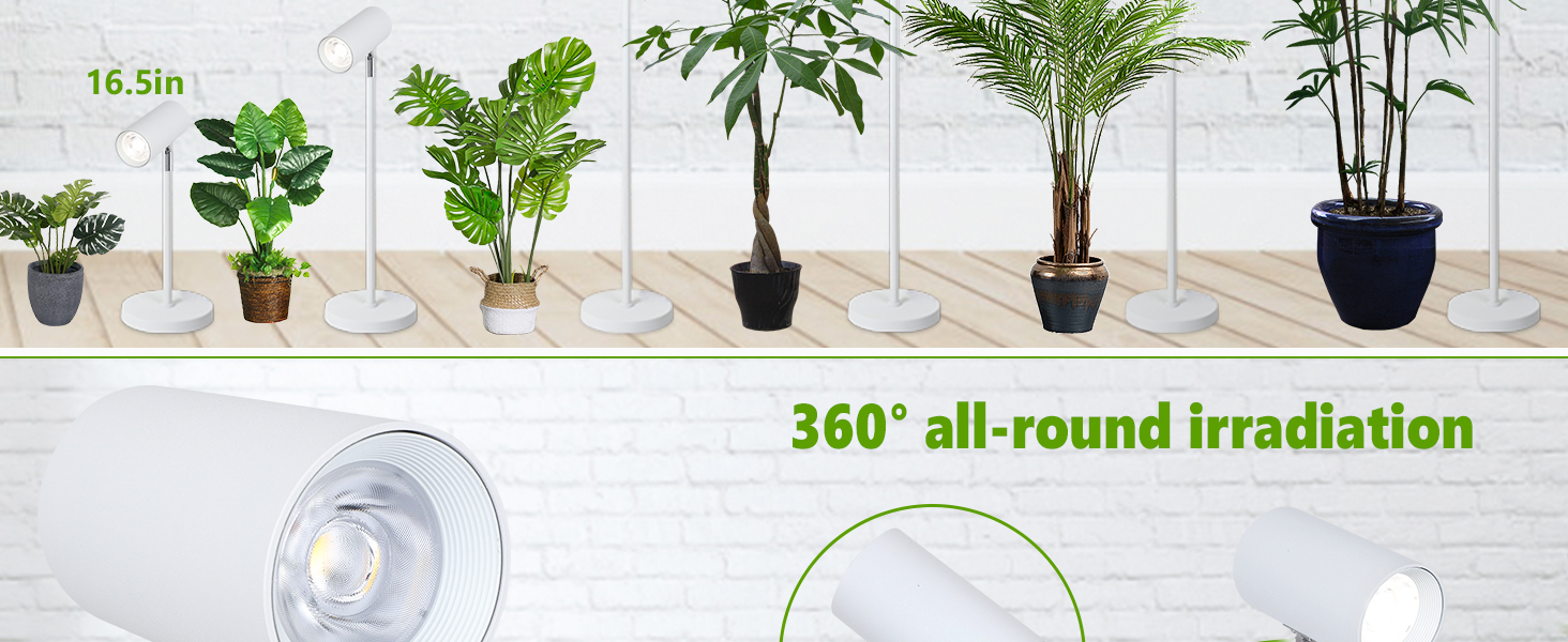 Large manufacture image 4