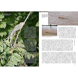 初期ビバリウムガイド 10冊セット① ビバリウムガイド No.105 2024年 6月号 飼育器具ってどう選ぶ