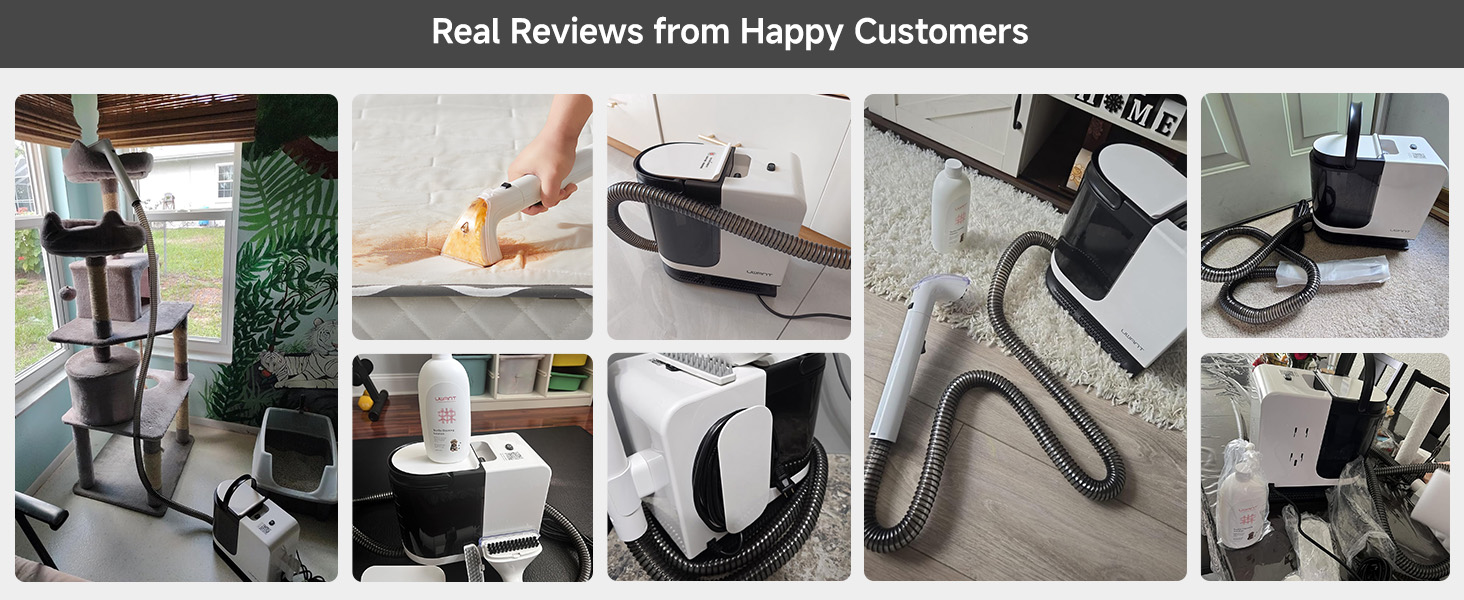 Portable Carpet Cleaner