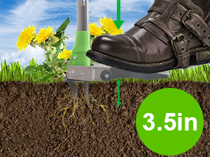 weeder
