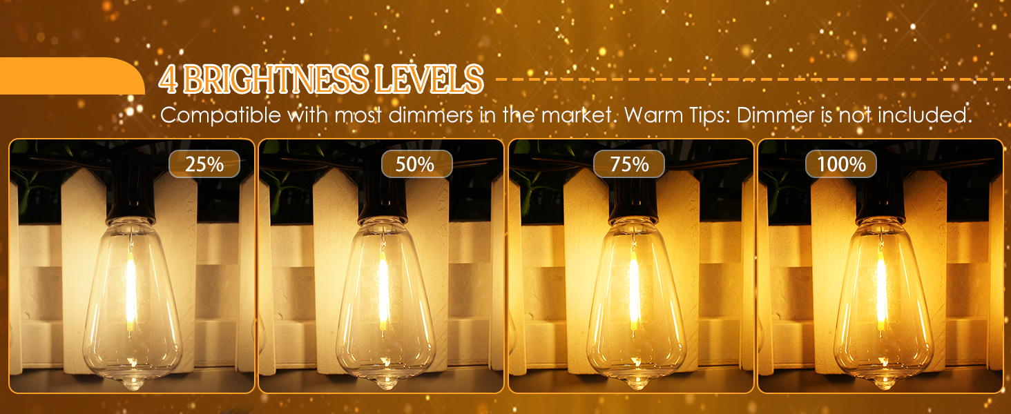 outdoor string lights