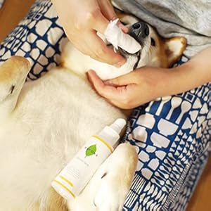 【スペシャル】あなただけの願いに添ったオリジナルブレンド☆10mlパワースプレー 無駄吠え防止 ペットコレクター 50ml/ 200 ml トレーニング