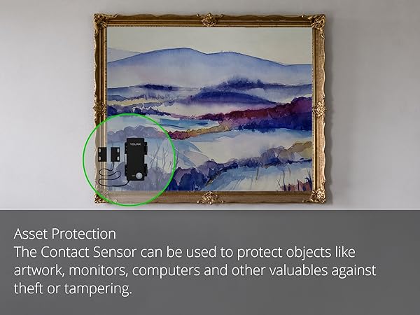 asset protection contact sensor