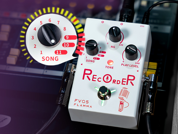 Amazon.com: FLAMMA FV05 Recorder Vocal Effects Processor