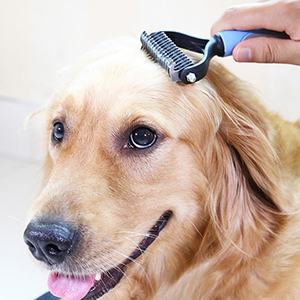 pet grooming tool double sided, dog grooming rake,dog dematting tools, dematting for dogs