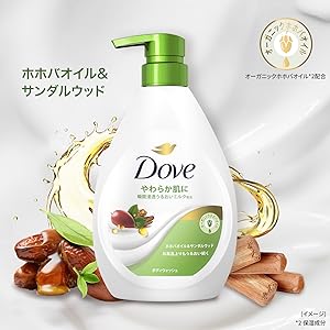 タ*坊様 極上美品　気分はホットチリペッパー！エピフォンDave Navarro タ*坊様 極上美品 気分はホットチリペッパー！エピフォンDave