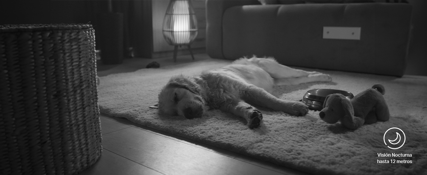 Tapo C200C - Câmara de Vigilância Wi-Fi 360°, 1080p, Visão Noturna, Detecção IA