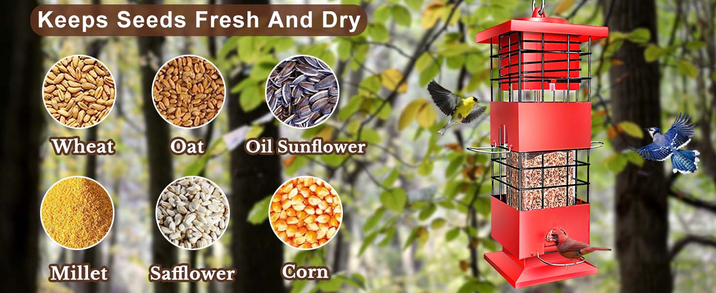 bird seed feeders