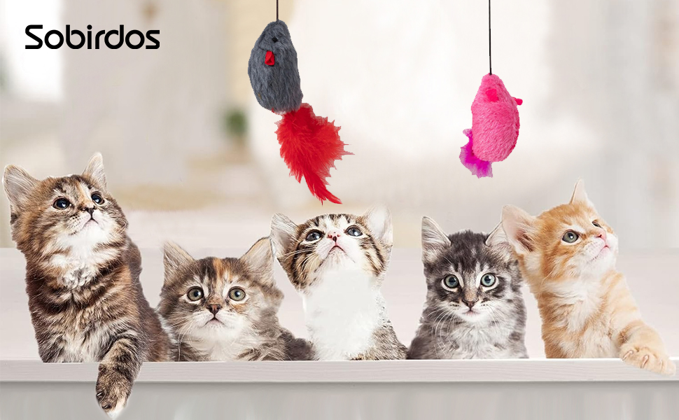 Indoor Cat Hanging Toys,2 Packs of Retractable Cat Exercise Toy Rope