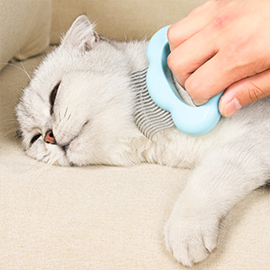Shell cat comb