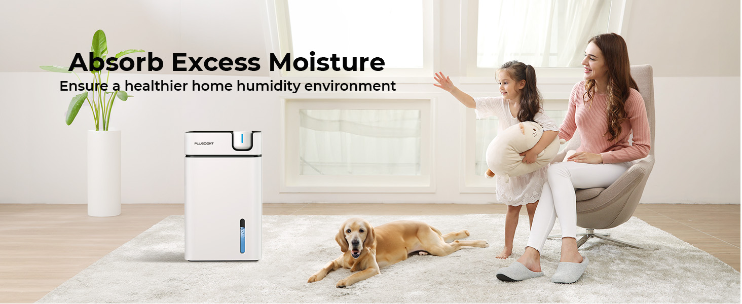 PLUSCENT Dehumidifiers for Living room
