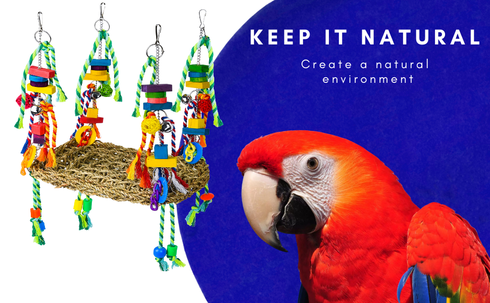 bird toy