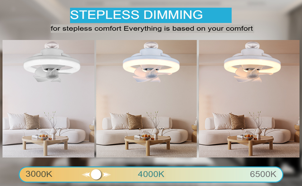 E27 ceiling fan light