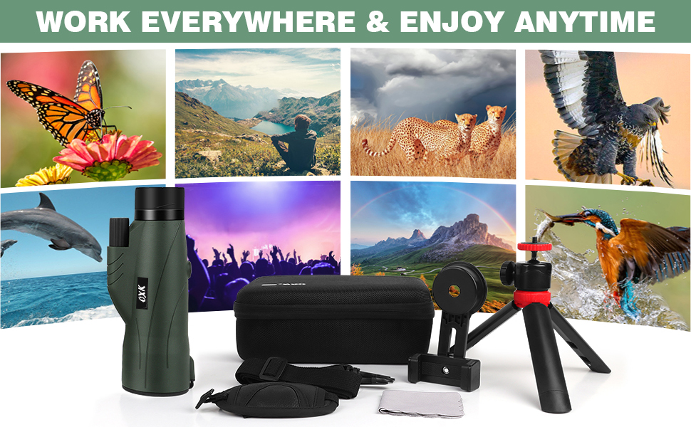 monocular
