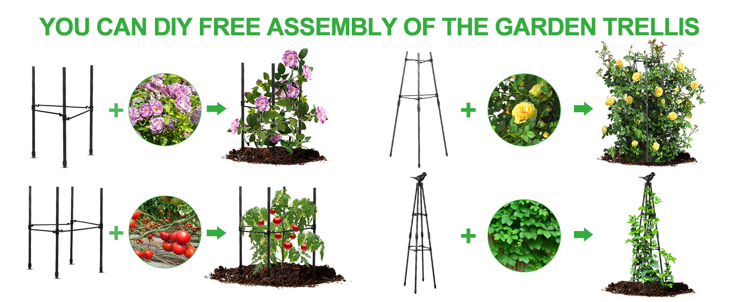 cucumber trellis for garden