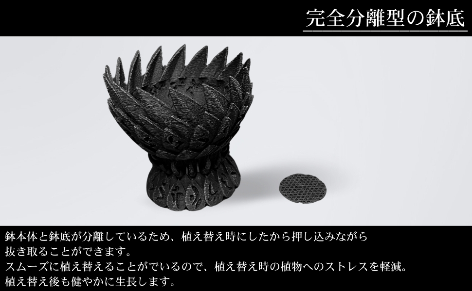 Amazon.co.jp: 3Dプリンター製植木鉢 アガベ チタノタ サボテン