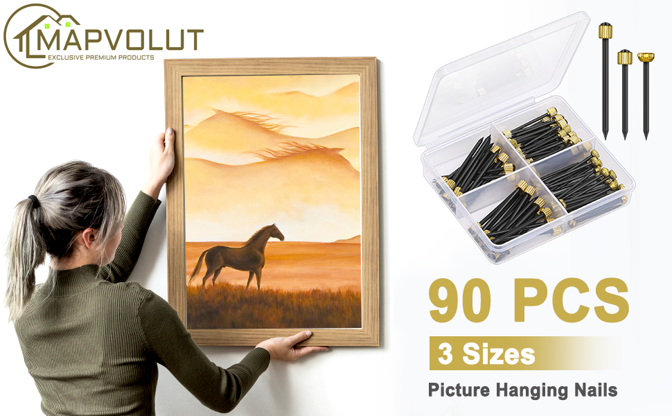 MAPVOLUT 90PCS Picture Hanging Nails, 3 Sizes Wall Decorative Nails for