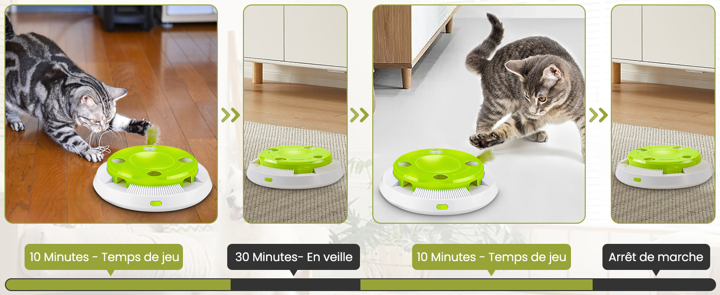 Jouet pour Chat