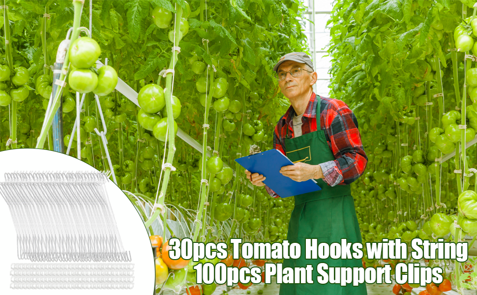 tomato hooks with string