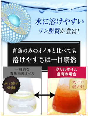 クリルオイルは水にも油にも溶けやすい