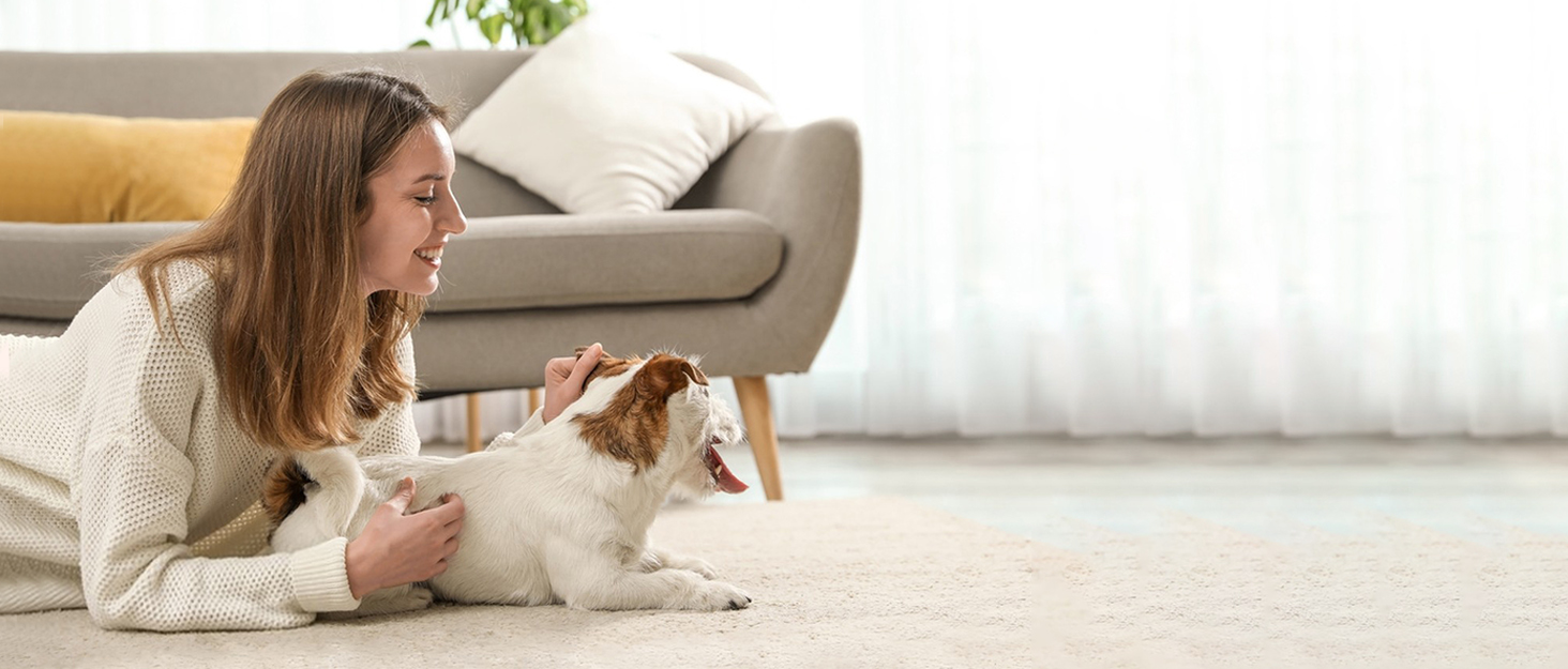 Galatée Pet Stairs, Removable and Washable Pet Ramp, High Density Foam Dog Steps 3 Levels Pet Climbing Ladder (Grey) 10