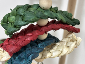 bird playground cockatiel