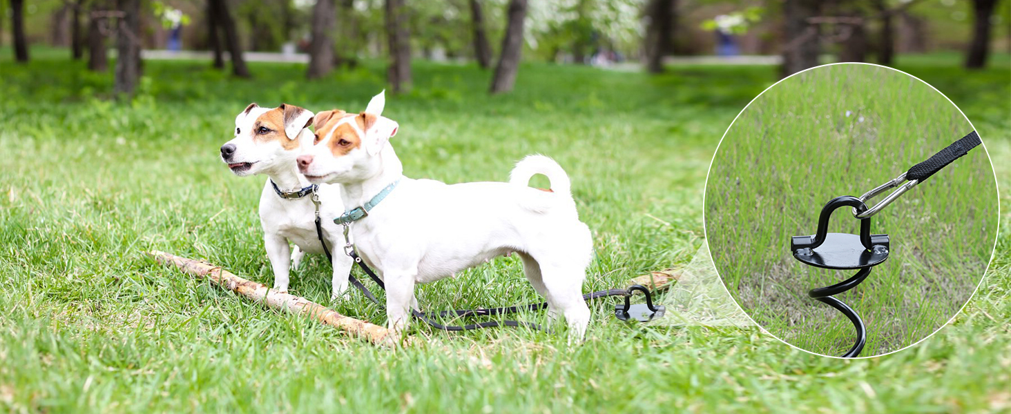 Spiral Ground Anchor with Dog Tie Out