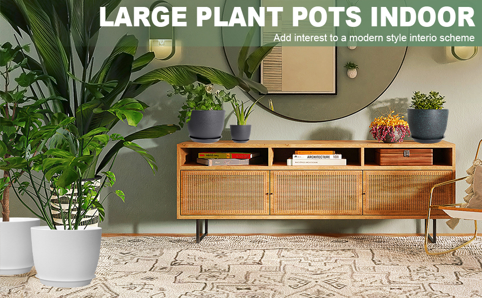 Plant Pots Indoor 