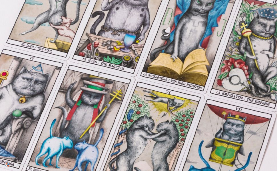 Amazon.co.jp: I.I.J タロットカード タロット・キャッツ Tarot