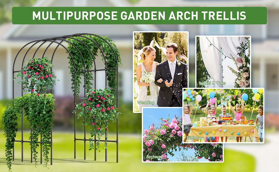 garden arch trellis