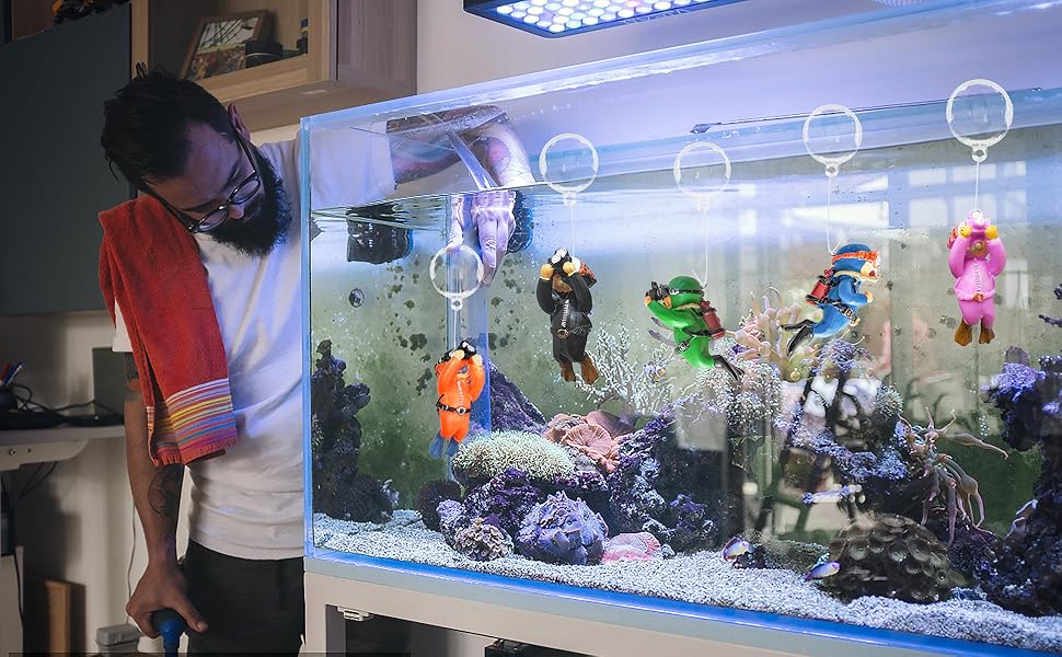 Cartoon Fish Playmate 