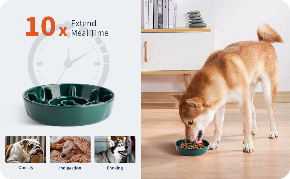 2 Cup Ceramic Dog Bowl