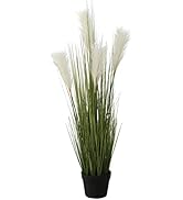 Realistic Faux Pampas Grass House Plant, Pro-Flora Black Pot, Thick and Bushy, Fluffy Plumes, 39....