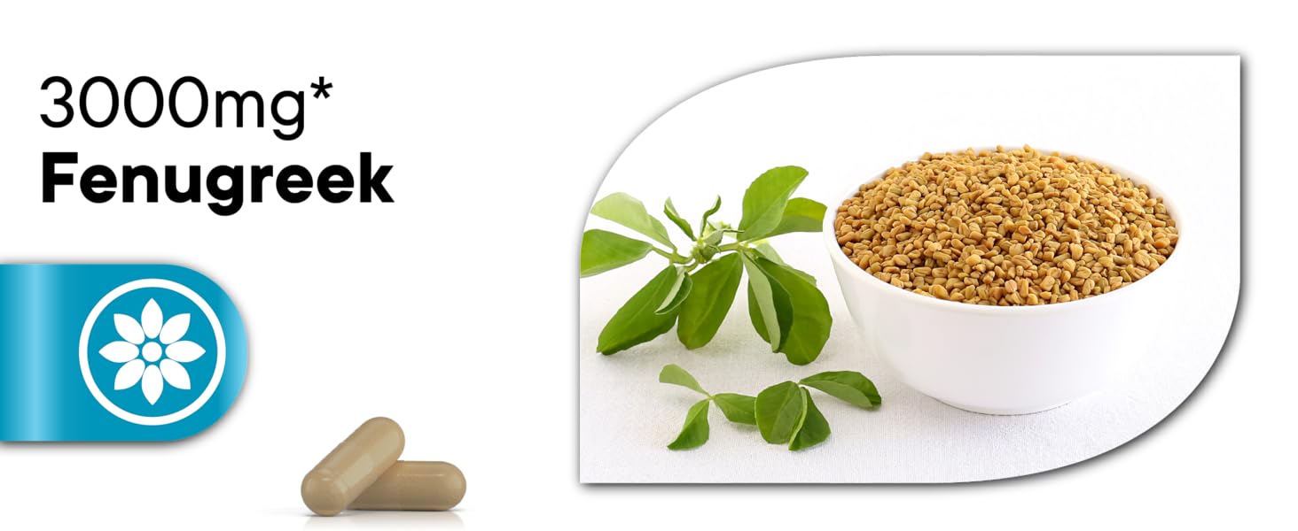 stress support maca ashwagandha fungreek turmeric energy immune