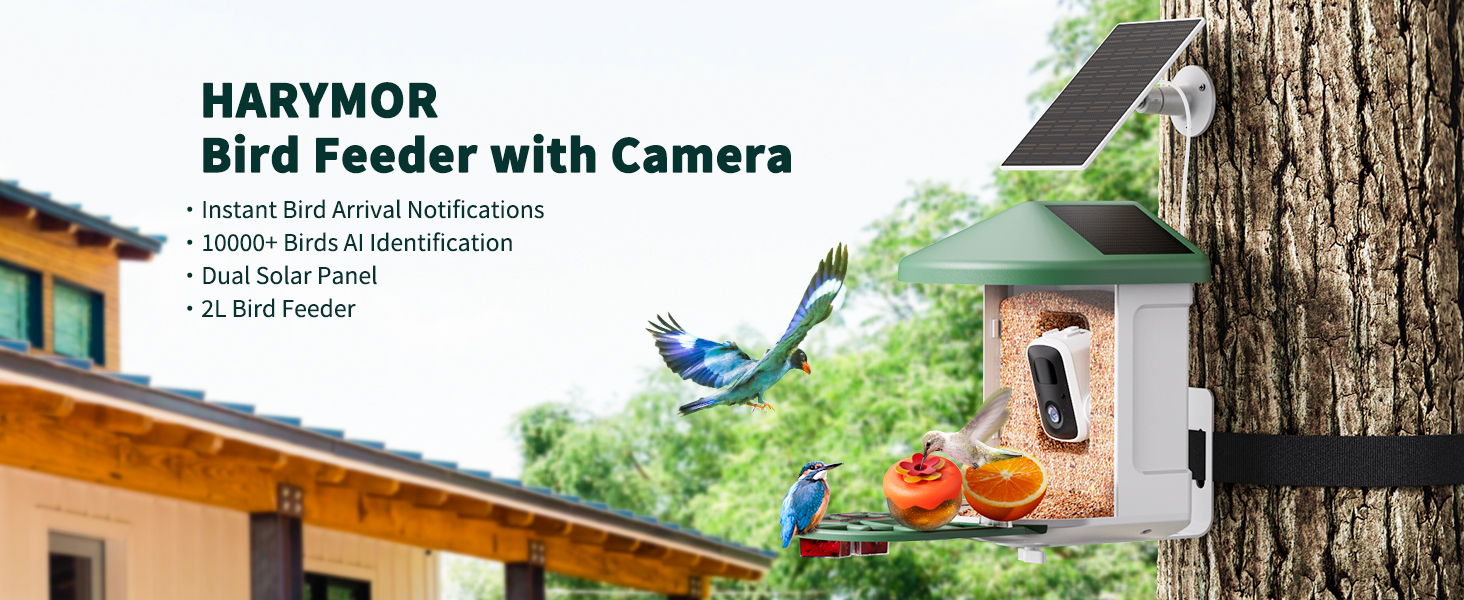 bird camera feeder for outside solar powered