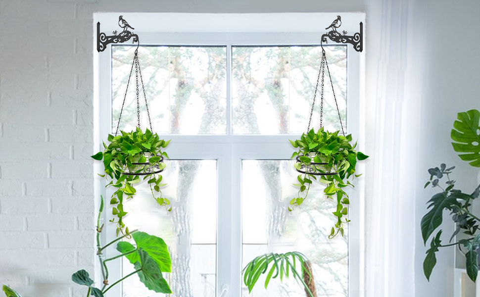 plant hanger indoor
