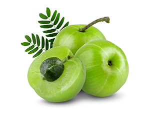 Vitamin C From Amla