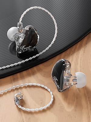 inear headphone 2 driver in ear monitor