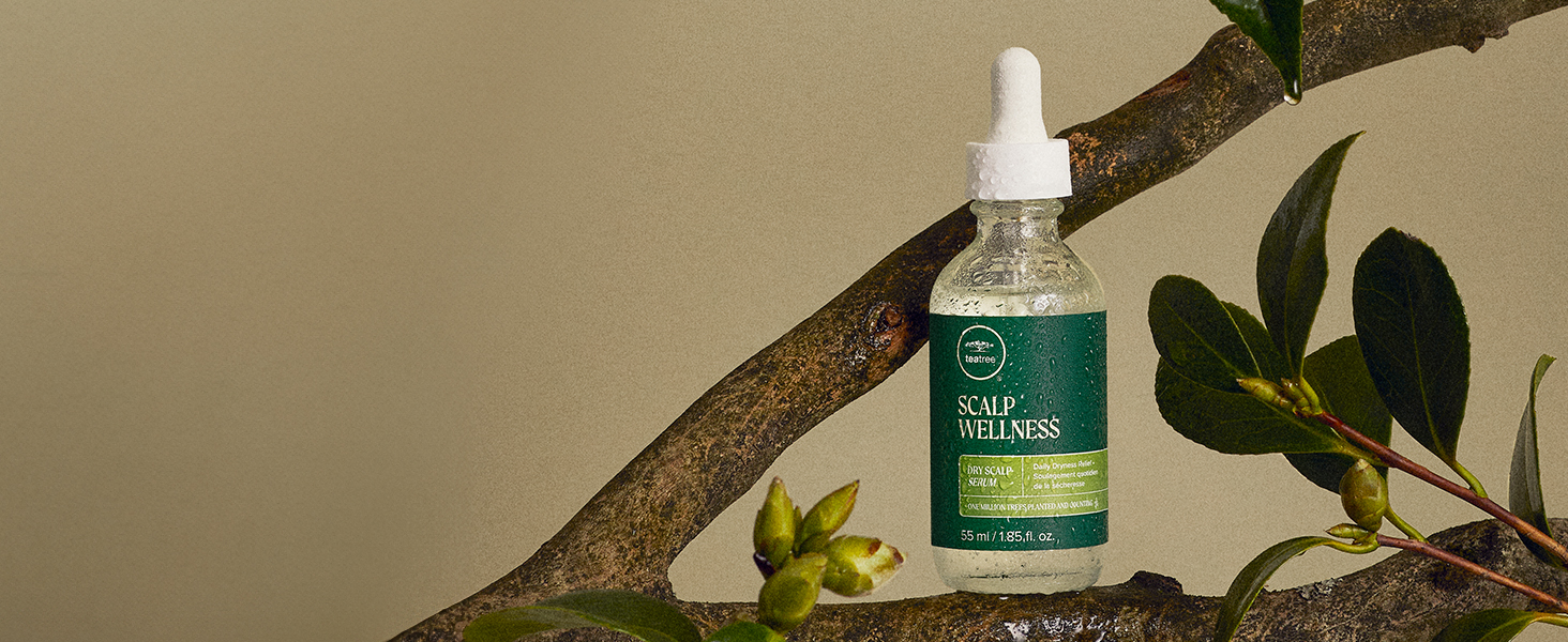 Amazon-com-tea-tree-updates-A+-JA24-tpg-banner-flat_0008s_0003_1