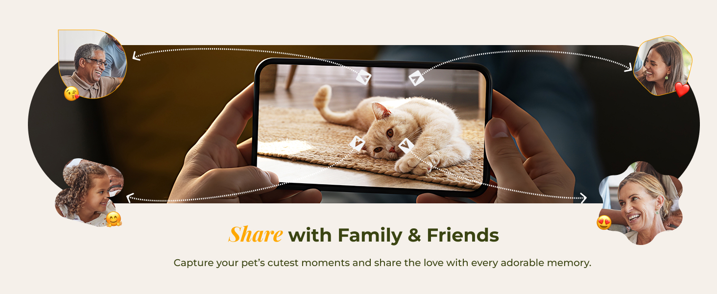 cat feeder automatic