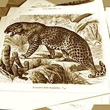 Small manufacture image 3