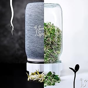 Blackout sleeves for mason jars for a dark cozy indoor growing climate for sprouting beans legumes