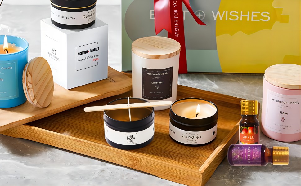 Ksedcon Candle Making Kit with Electric Wax Melting Pot, Candle Starter